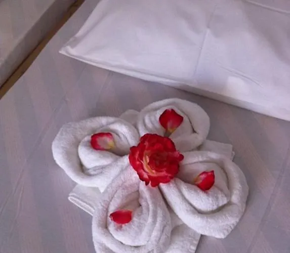 Aparthotel Manine 3*